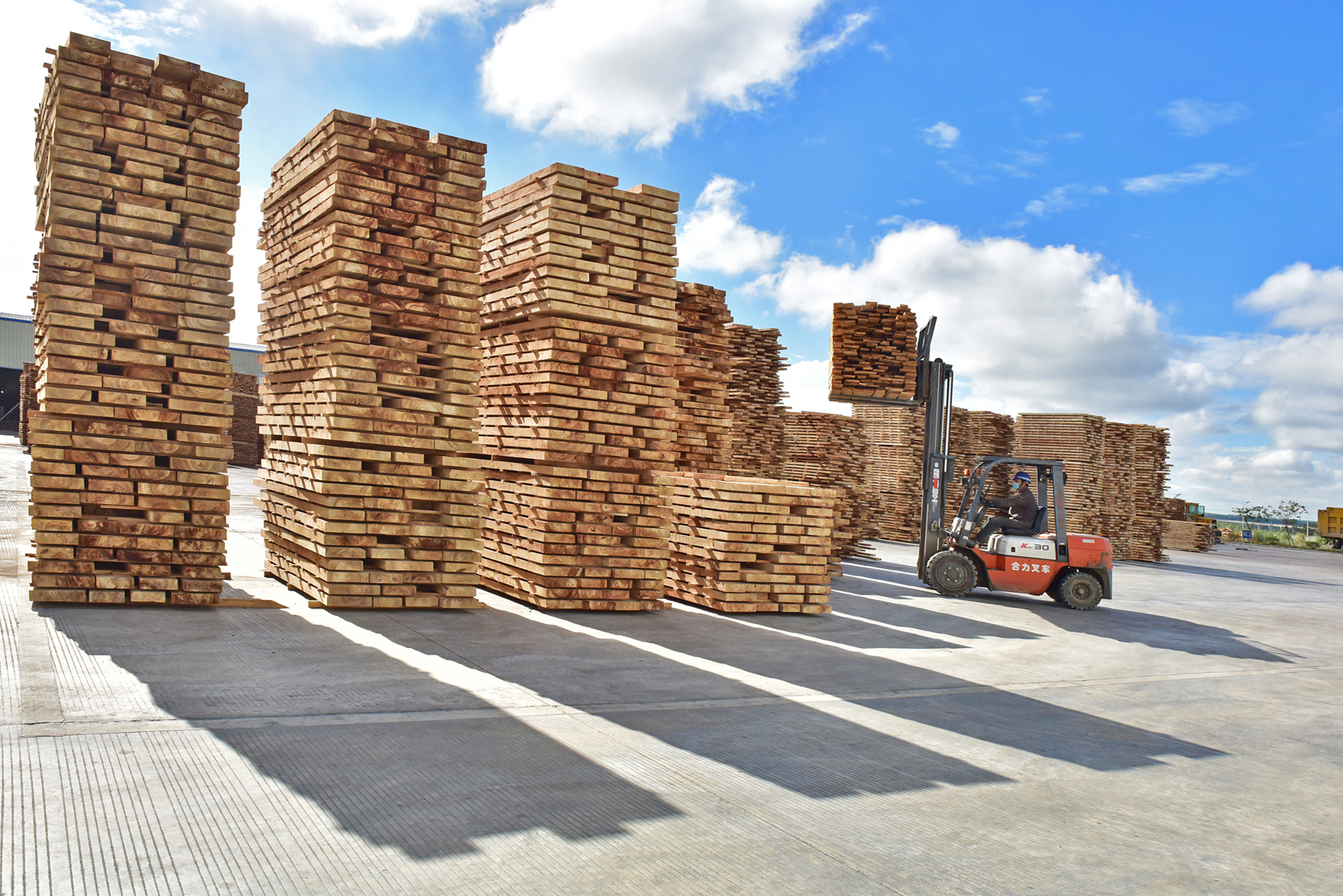 1705994075967039121.jpg 1705994075967039121.jpg