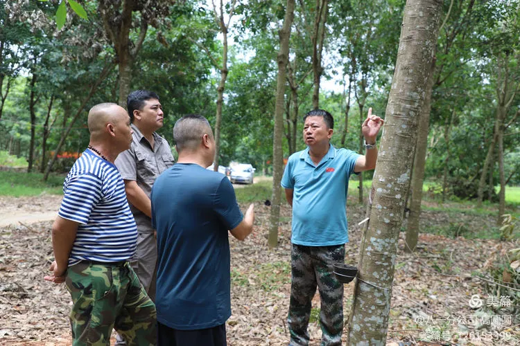 1726648738891007200.jpg 1726648738891007200.jpg