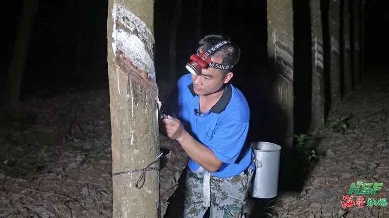 1735604502811050568.jpg 1735604502811050568.jpg