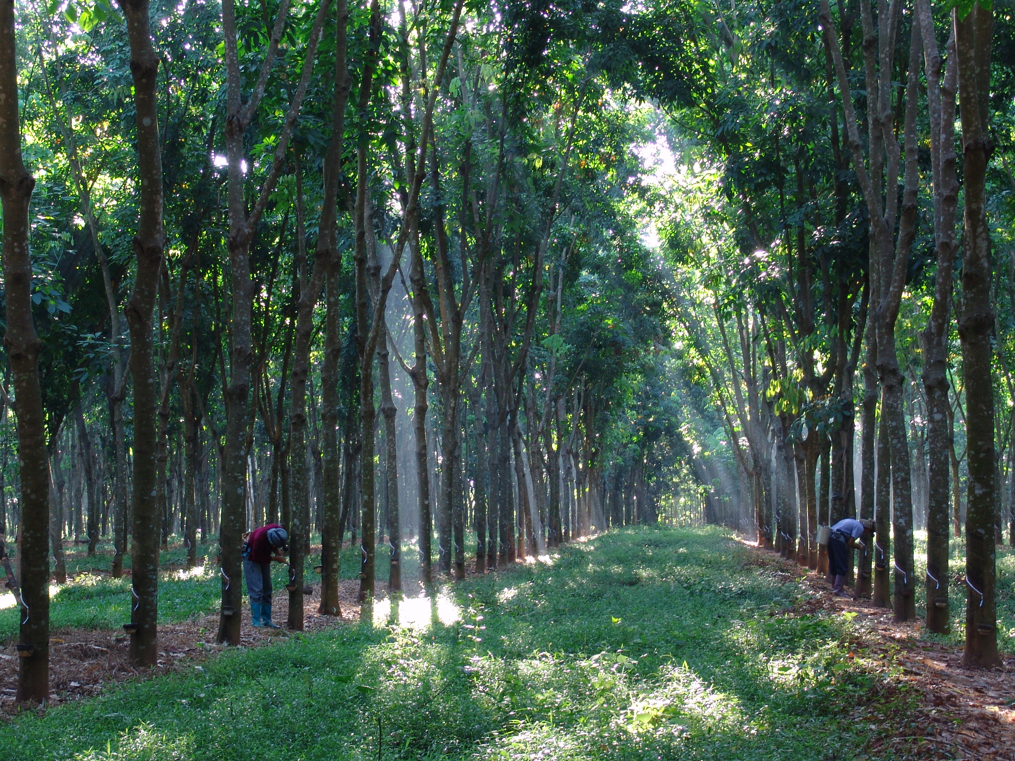 1744158922906062395.jpg 1744158922906062395.jpg