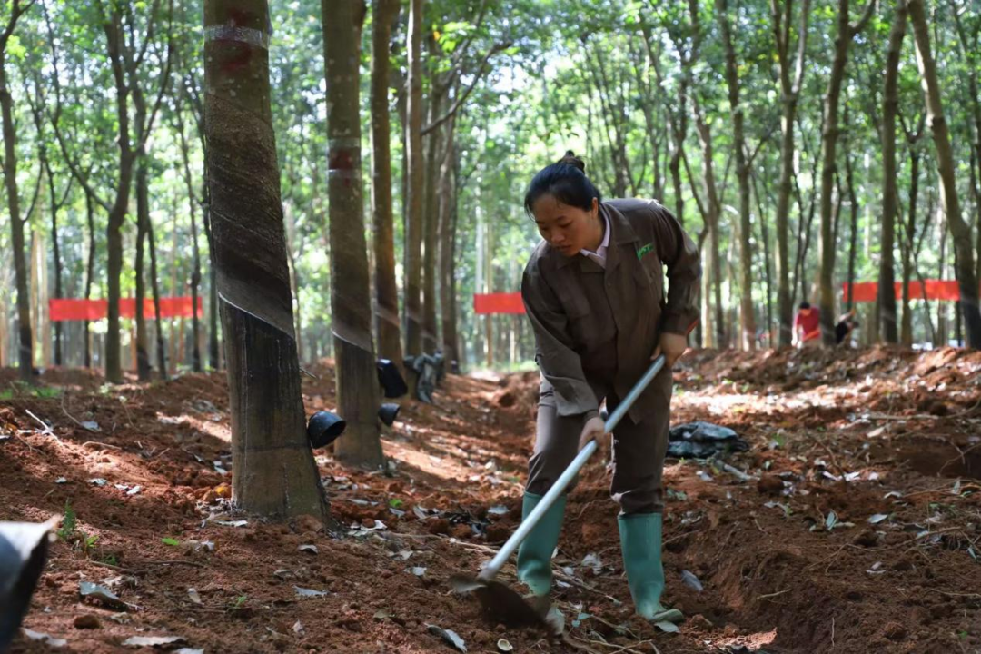 1747623266767075853.jpg 1747623266767075853.jpg