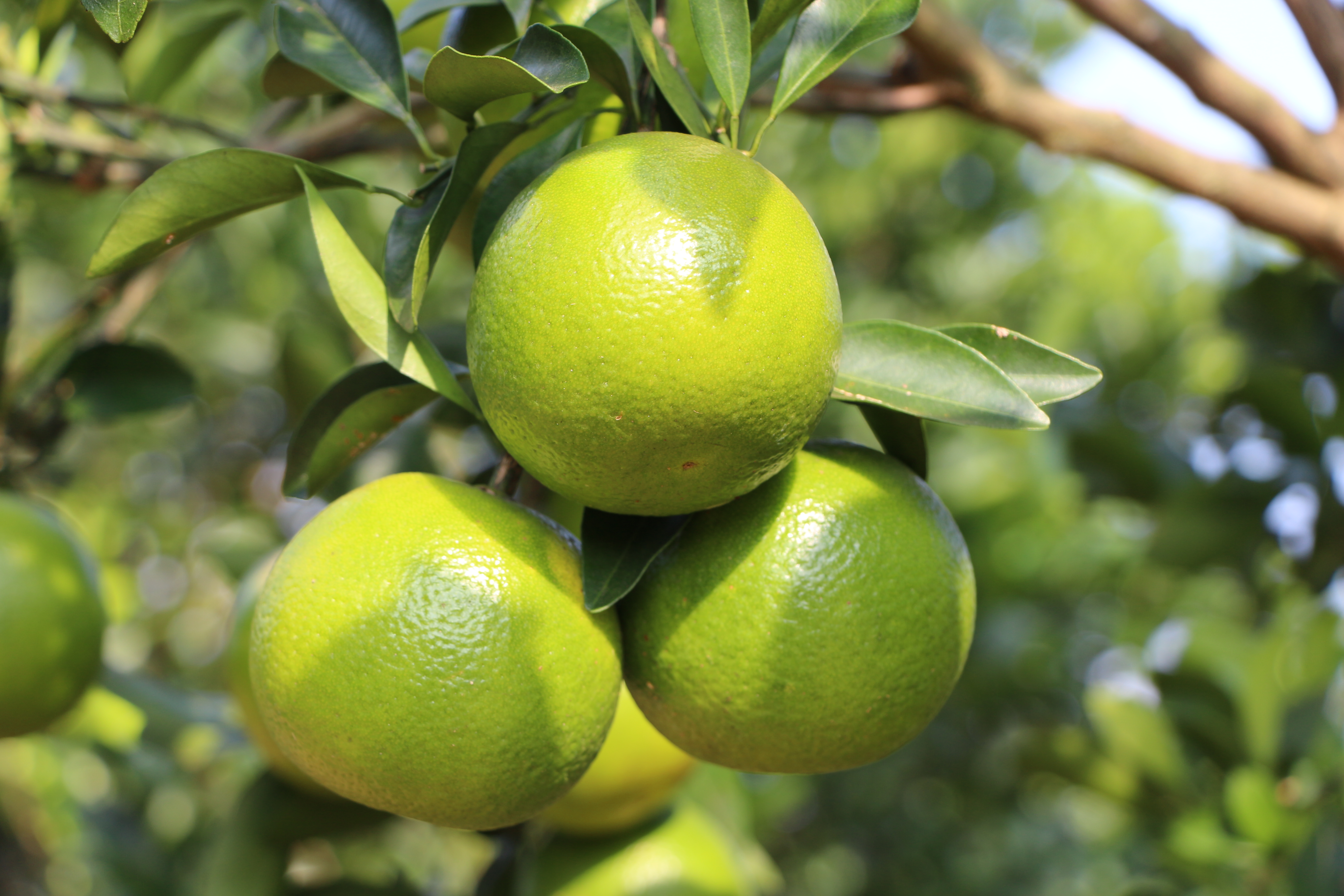 1751876232443074812.jpg 1751876232443074812.jpg