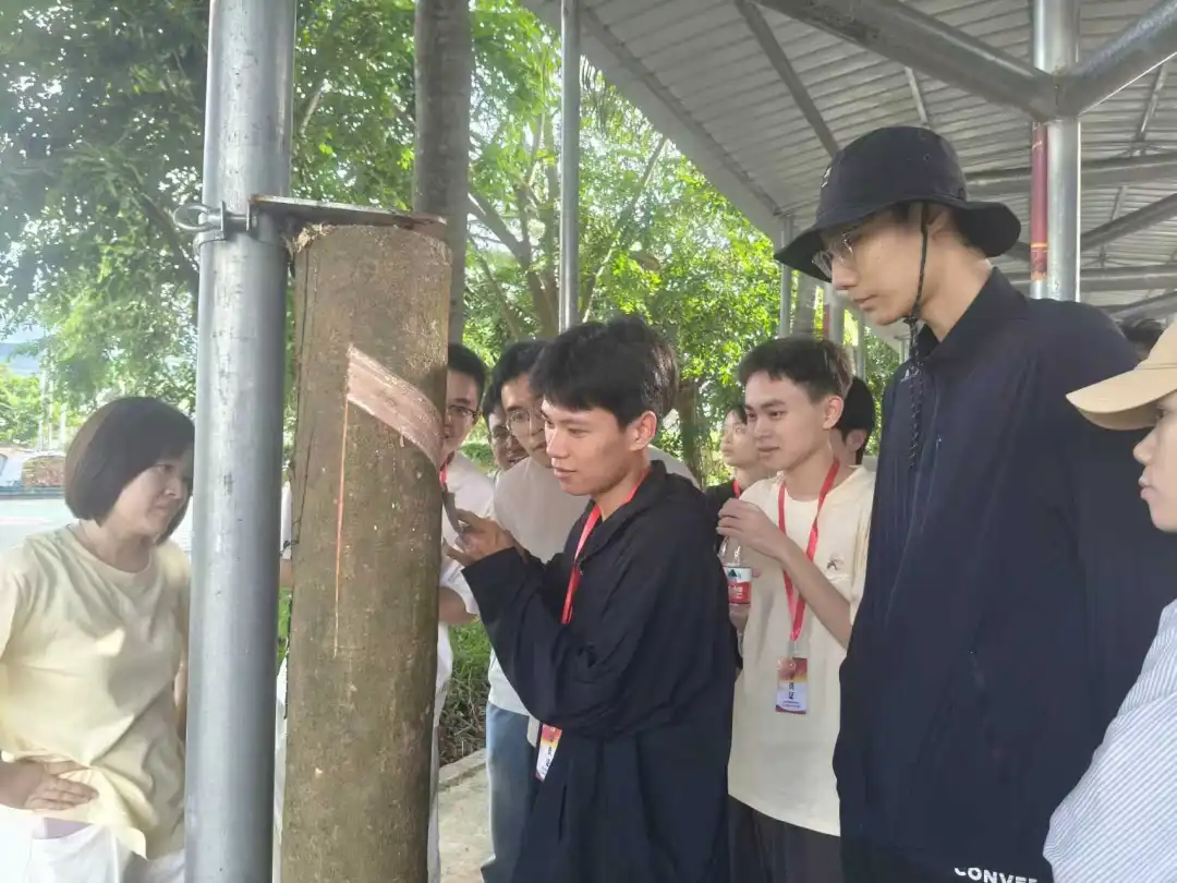 1754097557008027790.jpg 1754097557008027790.jpg