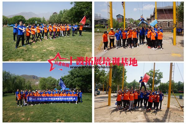 拓展訓(xùn)練活動