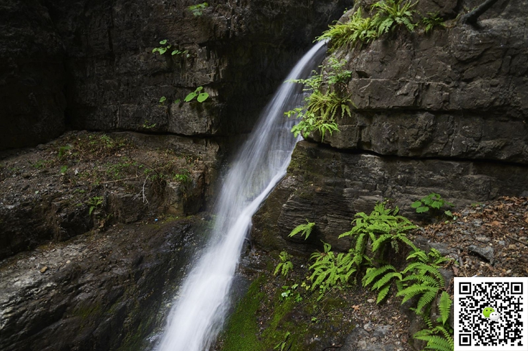 野三坡拓展訓練 野三坡拓展訓練
